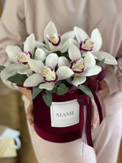 Орхидея Цимбидиум и эвкалипт в роскошной бархатной шляпной коробке