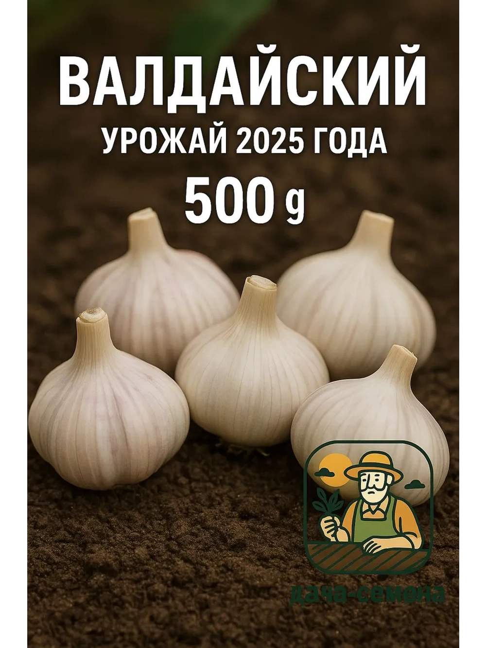 Чеснок посадочный озимый Валдайский