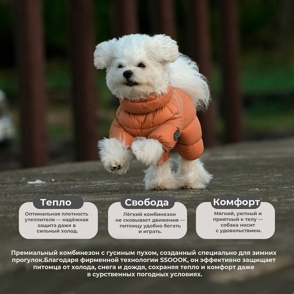 672 Комбинезон "Комфорт до -20-25°C" с молнией на спине, девочка/ COMFORT - FOR GIRLS, для девочки PREMIUM (SSOOOK)