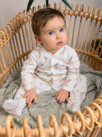 Комбинезон на кнопках "Зайки с птичками"