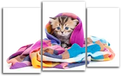 Модульная картина "Как укутываются котята"