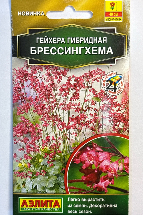 Гейхера гибридная Брессингхема СМЦ-798