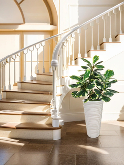 Искусственное растение Фикус Лирата 120 см пестрый в высоком круглом белом кашпо