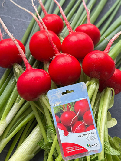 📢Редис Черриэт F1 — один из самых надёжных гибридов для раннего выращивания в мире!
