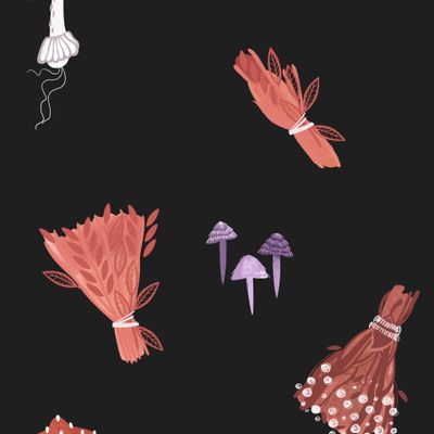 Травология. Артефакты ведьмы: травы, мухоморы и поганки.