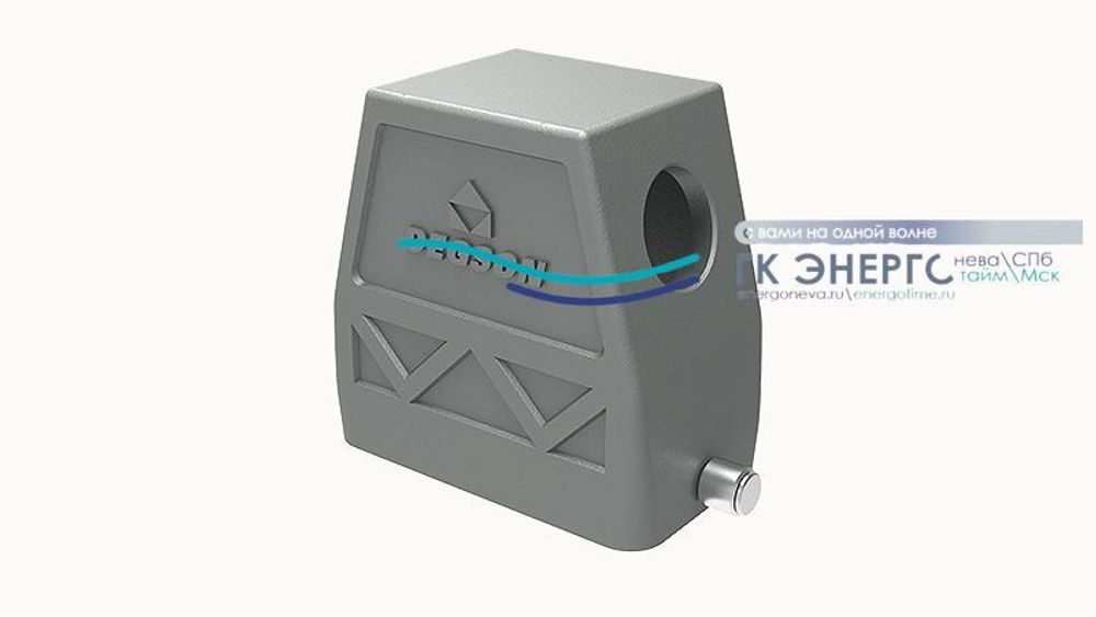 D10B-SEH-4g-PG21