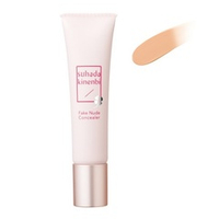 Корректор для лица универсальный тон 1 SPF20 PA++ Sana Skin Day Flawless Nude Concealer 15г