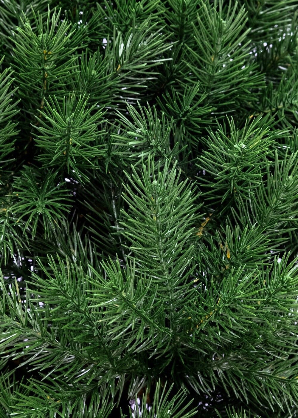 Ель искусственная «Алтея» (Литая хвоя) 180 см / 1,8 м