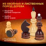 Шахматы турнирные, деревянные, лакированные, глянцевые, доска 40*40 см, ЗОЛОТАЯ СКАЗКА, 665363