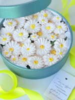 Коробочка «Ромашки» 21 см