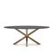 Овальный стол ARYA Argo из матового черного стекла и стали с эффектом дерева 200x100