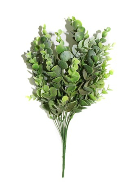 Брусничник