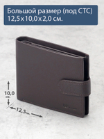 B23P006R Castanho - Портмоне с RFID защитой MP