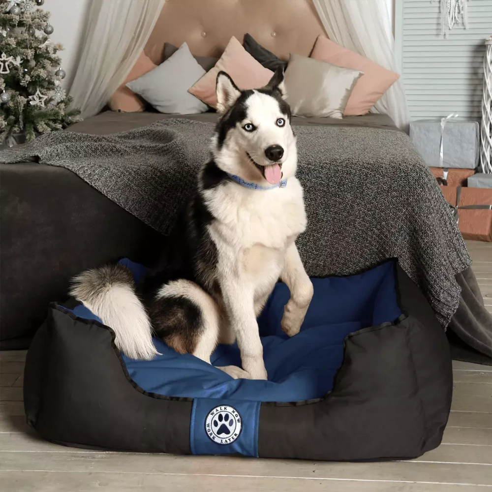 лежанка для собаки со съемным чехлом синяя размер 90х65 см