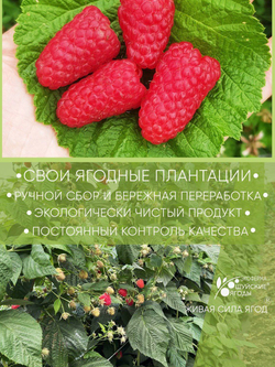 Низкокалорийное несладкое варенье томленые ягоды малины без сахара с сиропом топинабура, 280г
