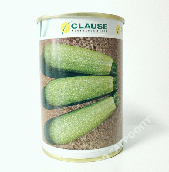 Асма F1 семена кабачка (Clause / Клос) – фото 4