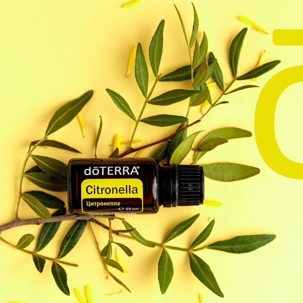 Эфирное масло doTERRA Цитронелла, Citronella, 15 мл