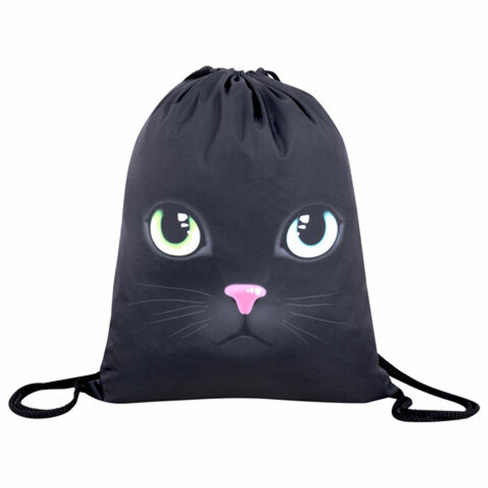 Школьный набор BRAUBERG: папка А4, мешок для обуви 42х33 см, пенал-косметичка 20х10 см, "Black cat", 271075