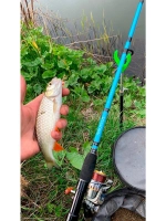 Удилище фидерное Butler Feeder - FD 270см 200гр BTF9XXQ