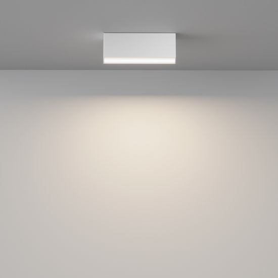 Потолочный светильник Technical C068CL-12W3-6K-W