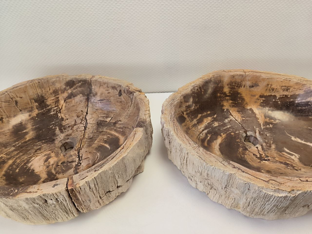 Раковина из окаменелого дерева OD-62102 56*47*15