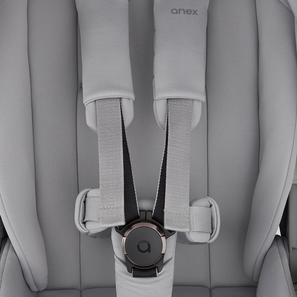 Детская коляска Anex Flo x Avionaut Cosmo 3 в 1 Frossy/ss-06 Black