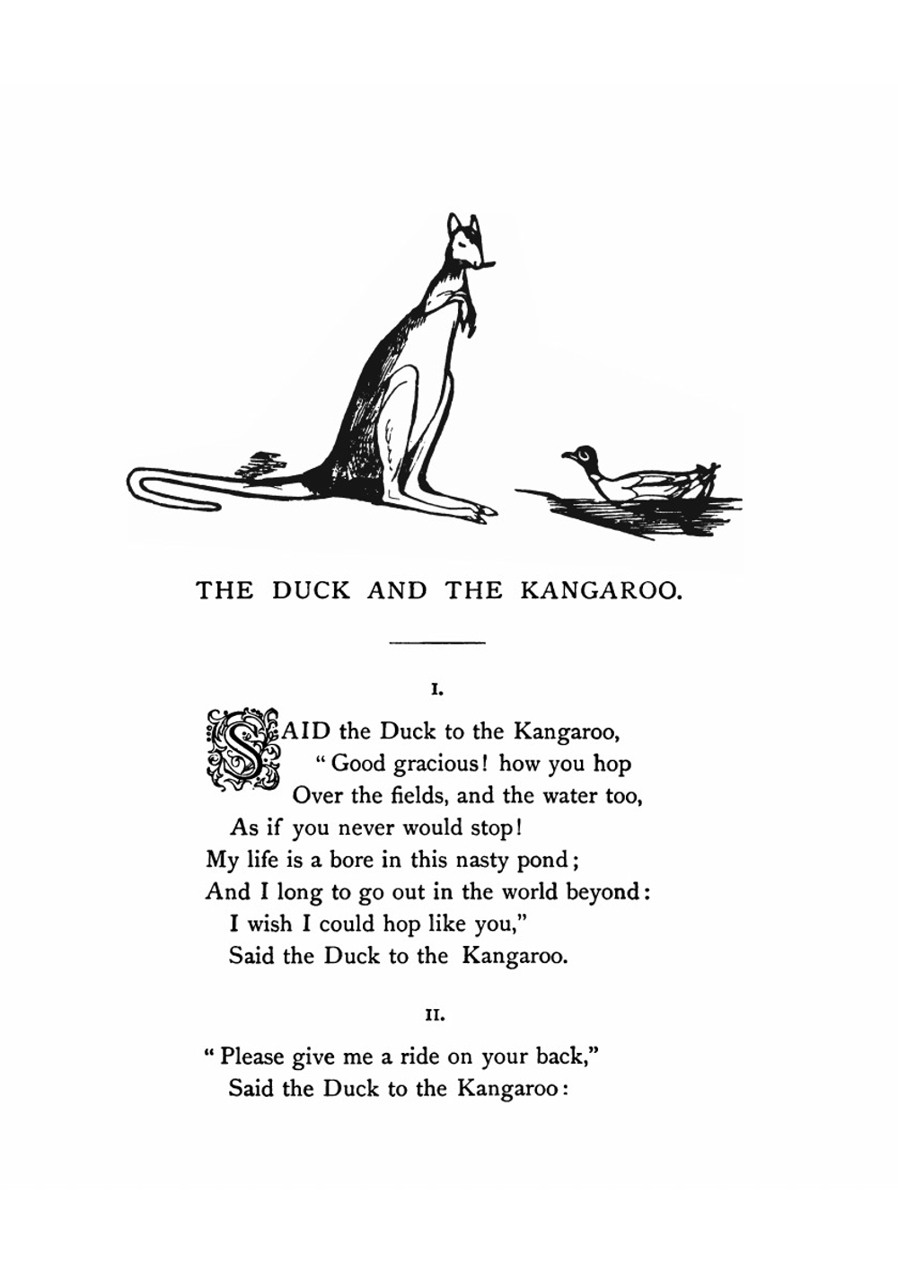 Nonsense songs. stories, botany, and alphabets. | Edward Lear