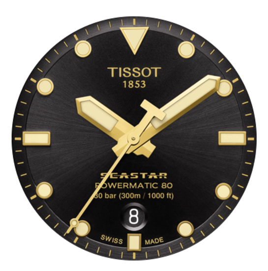 Tissot T120.407.22.051.00 Seastar 1000 Powermatic 80 мужские, автоматические, Швейцария