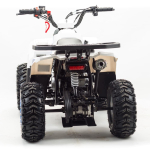 Квадроцикл MOTOLAND 110 Eagle (2021 Г.)