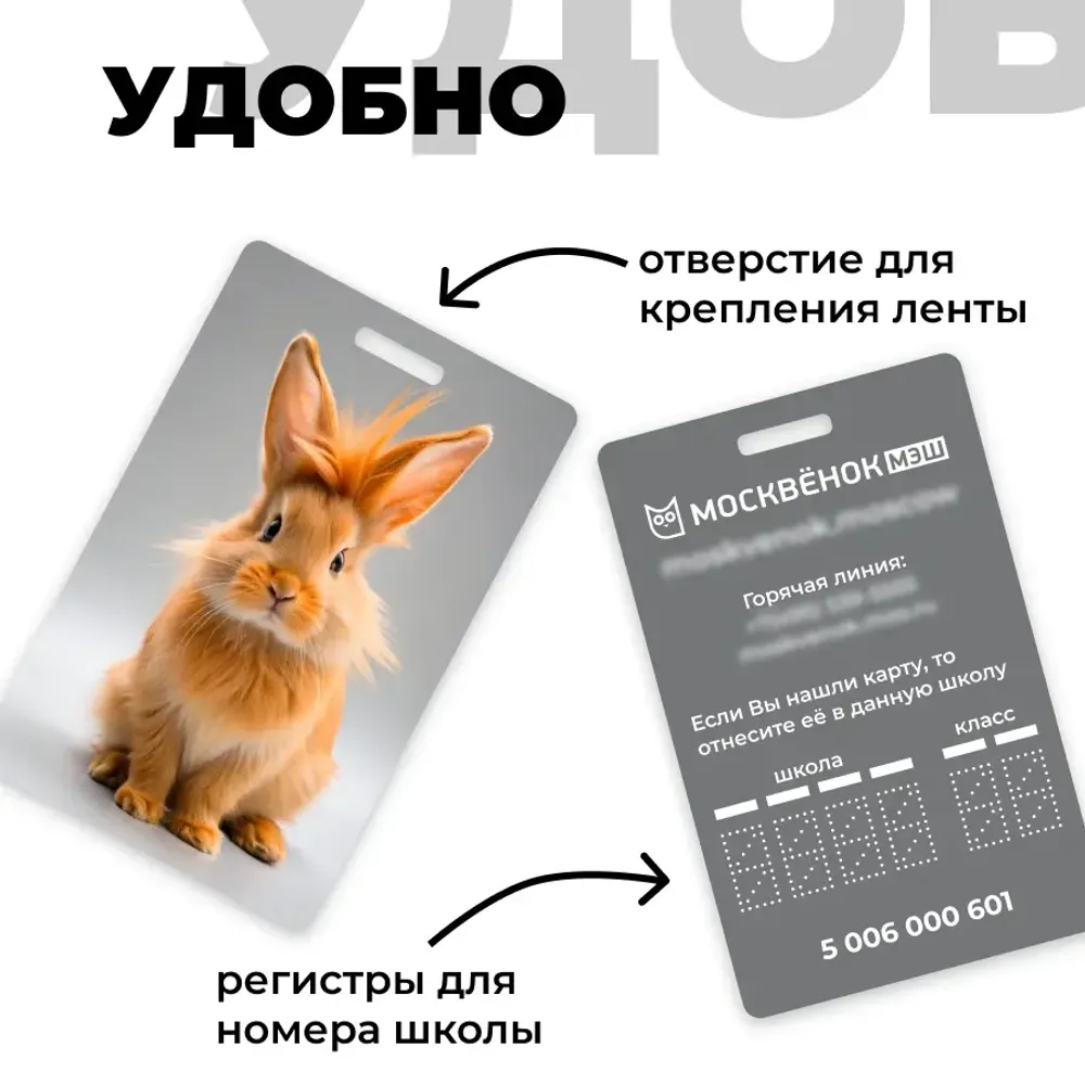 Карта Москвёнок BUNNY №2 (проход + питание)