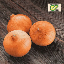 Ятоба F1 семена лука репчатого (Enza Zaden / Энза Заден)