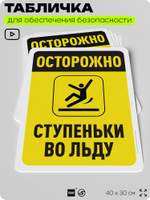Табличка для обеспечения безопасности "Осторожно, ступеньки во льду", для офиса, по охране труда для предприятия, организаций, 40х30 см, Silver Plane x Айдентика Технолоджи