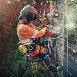 Husqvarna T540i XP аккумуляторная цепная пила (без АКБ и ЗУ) 9679836-12