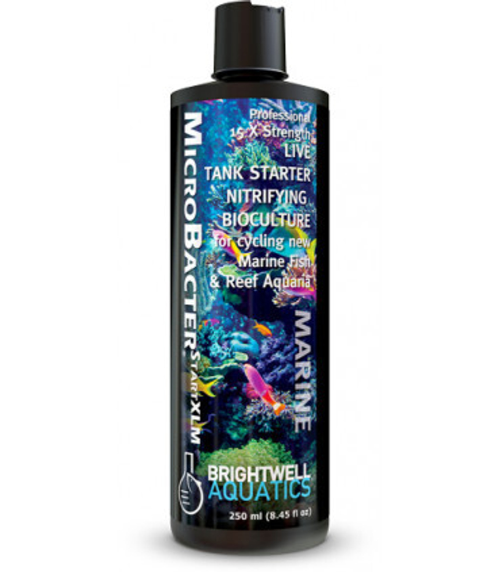 BRIGHTWELL AQUATICS MicroBacterSTARTXLM - 250 мл