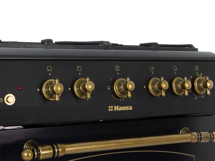 Газовая плита Hansa FCGA62109