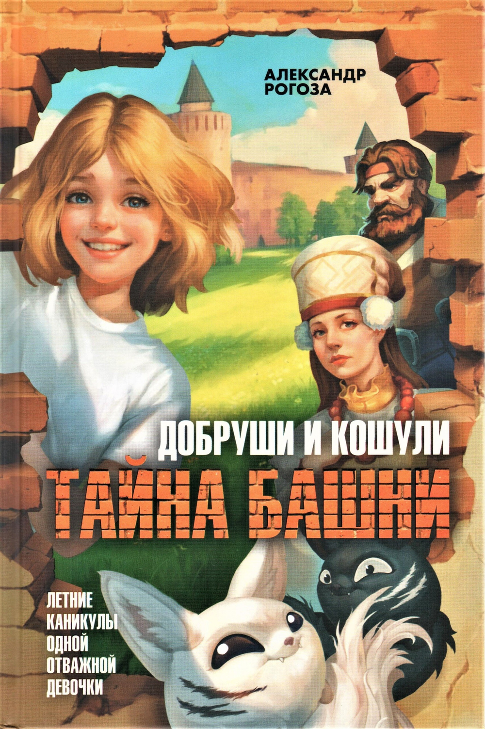 Добруши и кошули. Тайна башни.