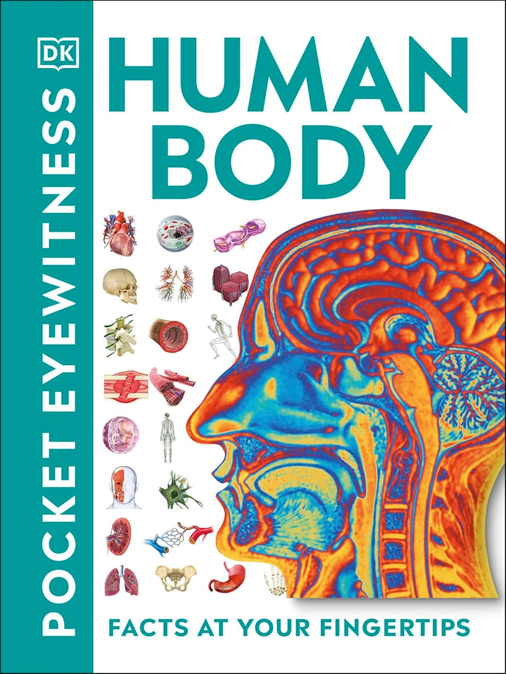 Human Body (Pocket Eyewitness)