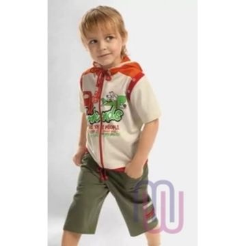 Джемпер для мальчиков Pelican BXTK 284