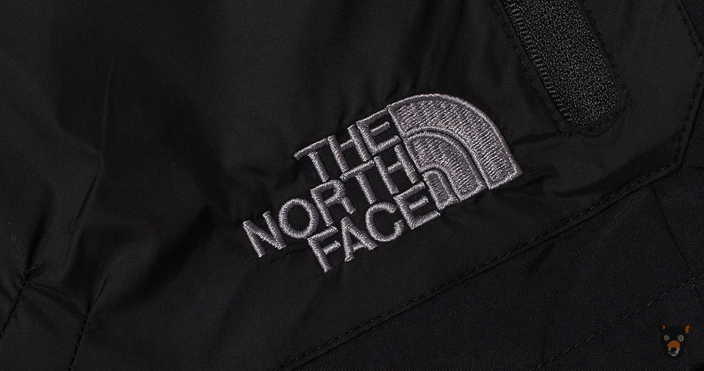 Шорты The North Face