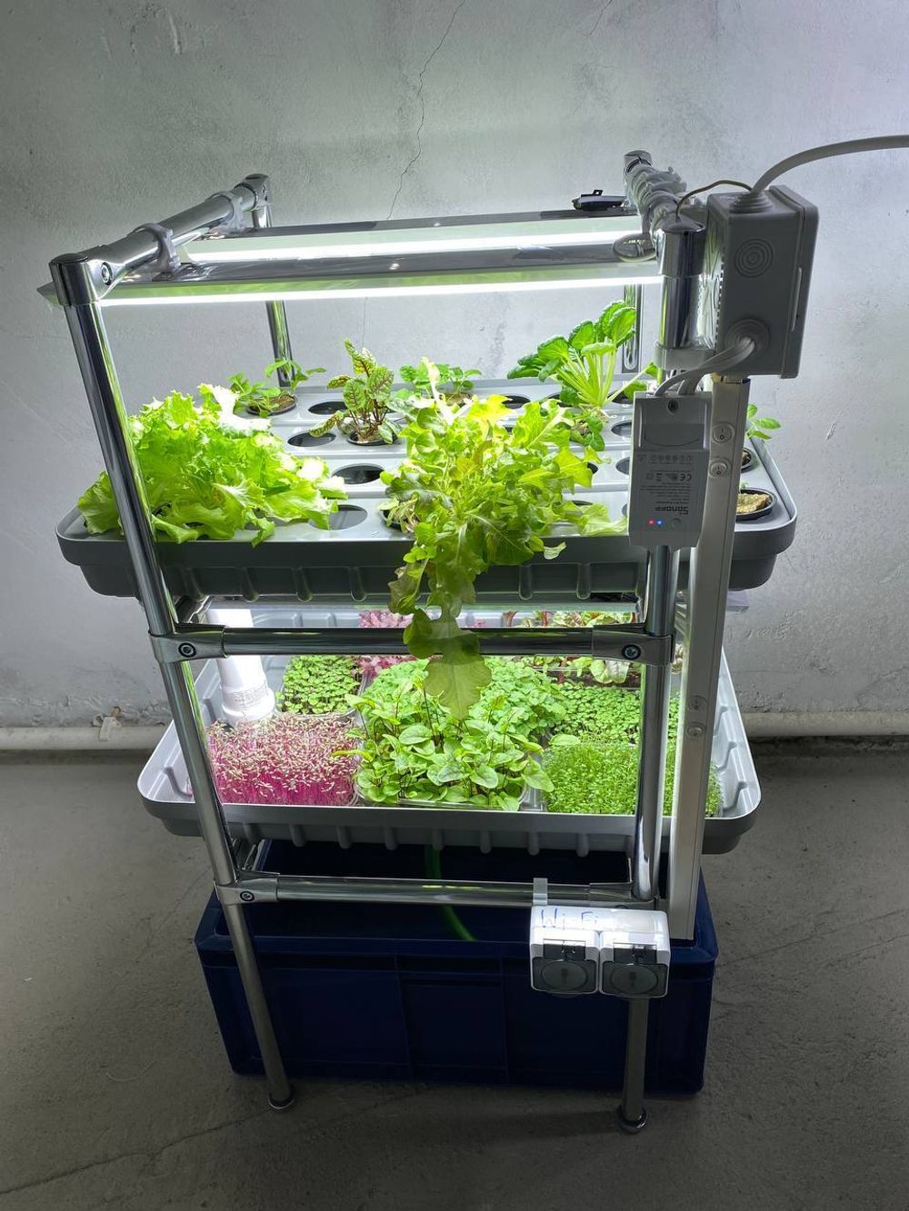 Домашняя гидропонная установка HydroBoss5.0 Mini