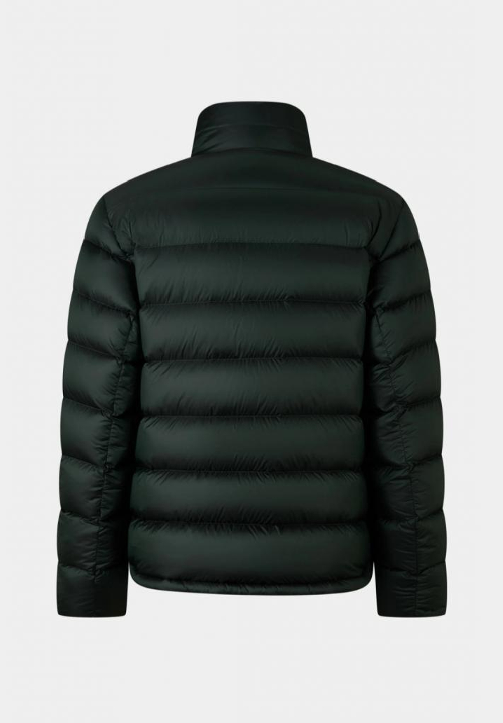Куртка мужская BOGNER HUGH-D1 3819 6856 278 254 MS