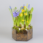 Композиция с первоцветами Весенний микс