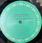 Виниловая пластинка Andreas Vollenweider ‎– Caverna Magica LP