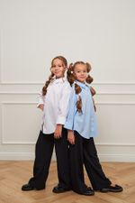 Блуза дл/р швейн. д/д DELORAS 63837C