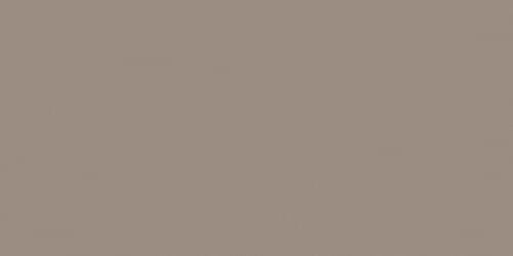 Estima Rainbow RW041 Light Brown Непол.Рект. 60x120