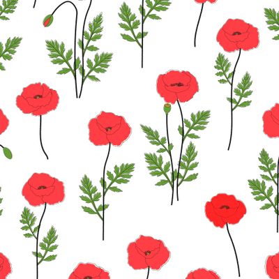 Цветы маки. Полевые цветы. Прованс