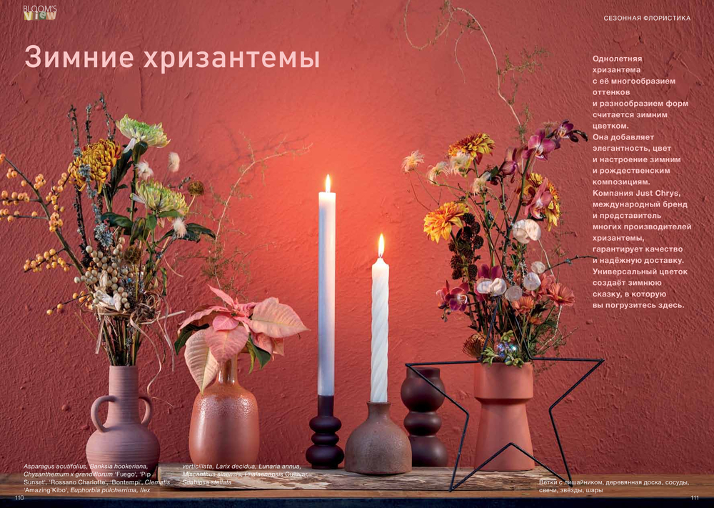 BLOOM'S VIEW # 16. Осень/зима 2022. Русское издание