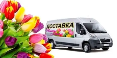 Международная оплата заказов из США и Европы — PayPal и PaySend для доставки цветов в Казани