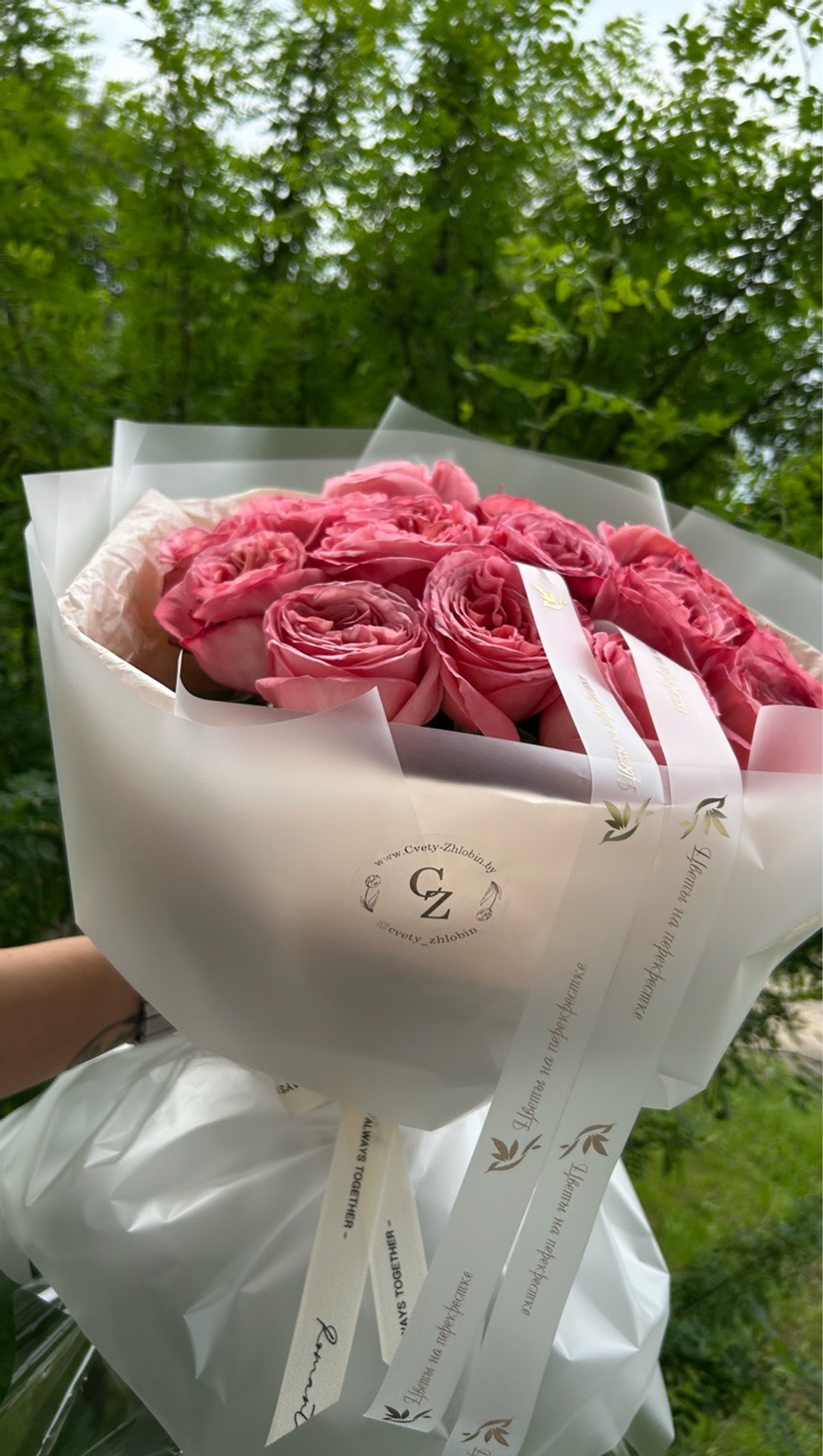 15 шт в упаковке