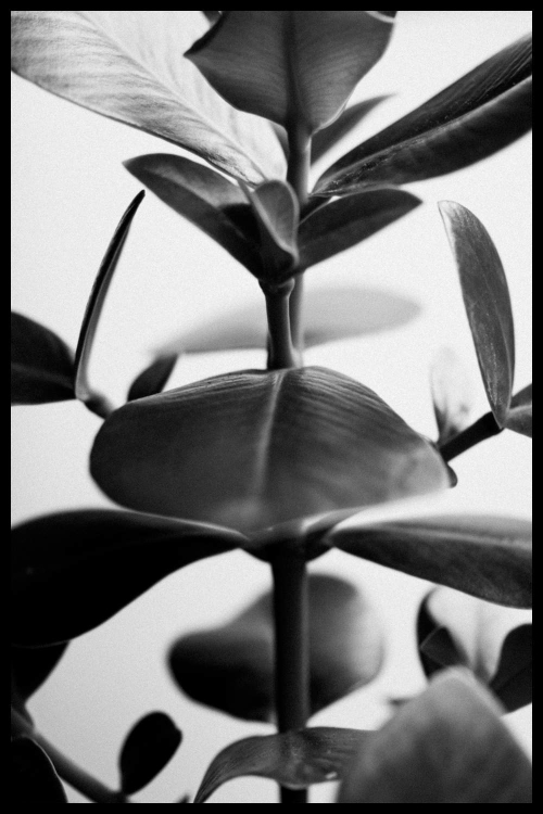 Интерьерная картина в технике цифровой печати. АРТ 039 Черное и белое